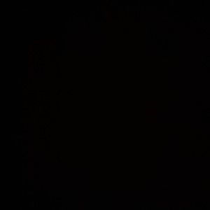 Meet your Posher, Five